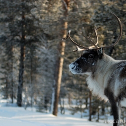 dsc_3374-m