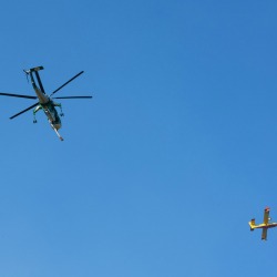 1_R85_7185