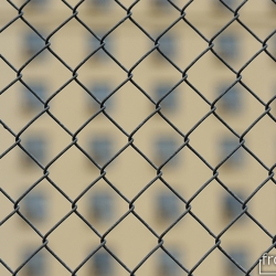 usa_0250
